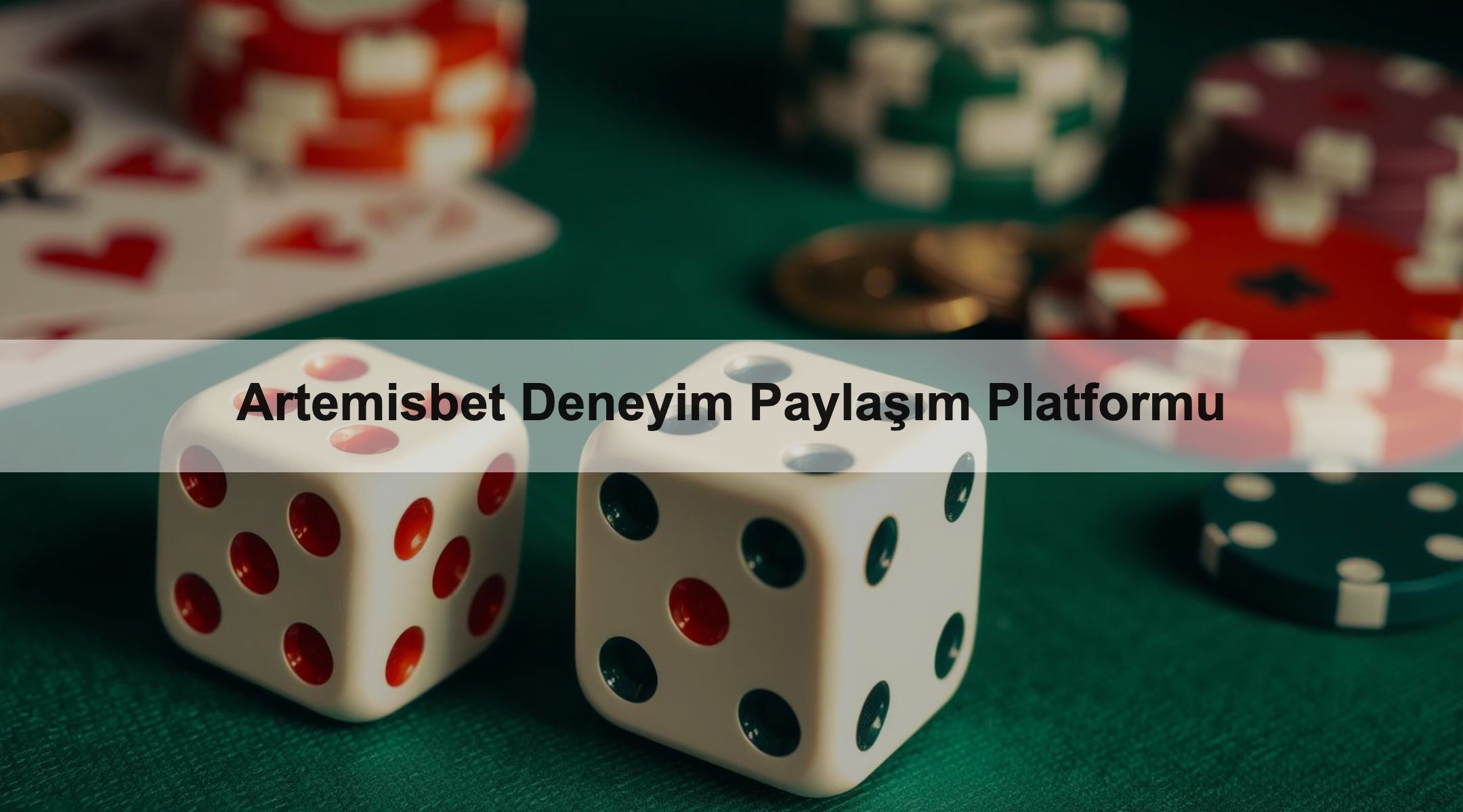 Artemisbet Deneyim Paylaşım Platformu